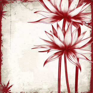 无框画红色荷花