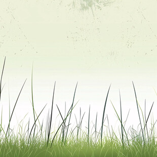 小草背景图