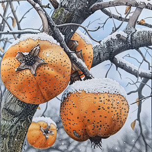 逼真的水果艺术