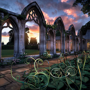 爱尔兰房地产广告