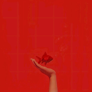 许愿祝福红飘带