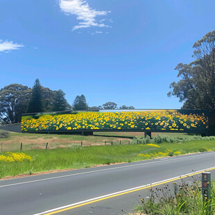 生态保护景观墙