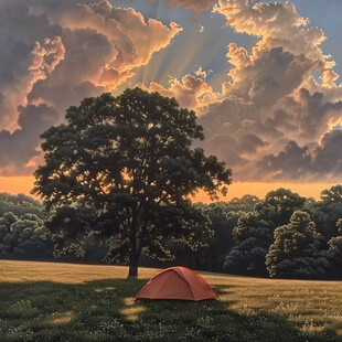 帐篷与大树