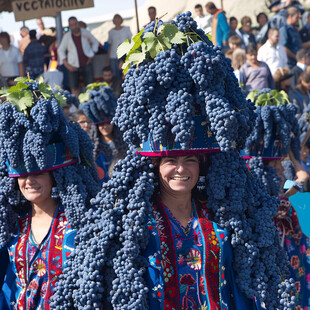 葡萄丰收节