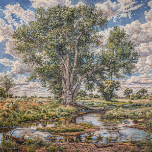 大树油画