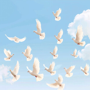 空中飞的群鸽
