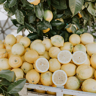 水果橙子柠檬