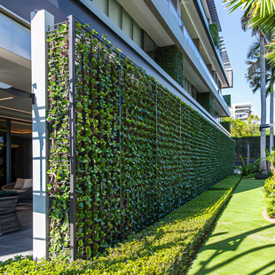 垂直绿化植物景观墙