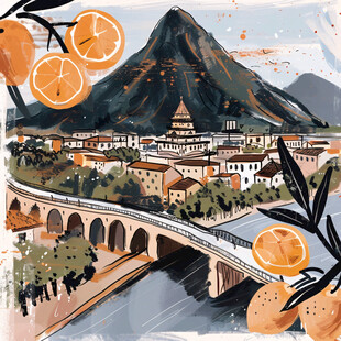 冰糖橙包装插画