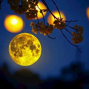 月亮户外灯