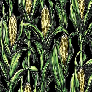 手绘玉米图案
