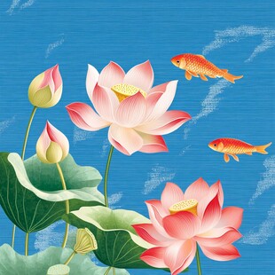 荷花锦鲤插画