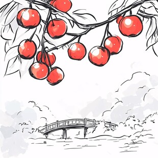本地樱桃插画
