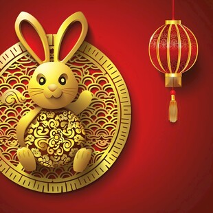 春节元素兔年