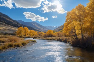 河流河谷金秋天黄叶树