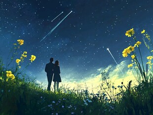 情侣看流星雨