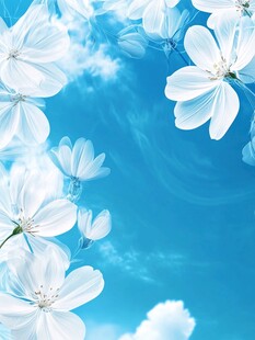 白花蓝天边框