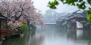 江南雨天美景