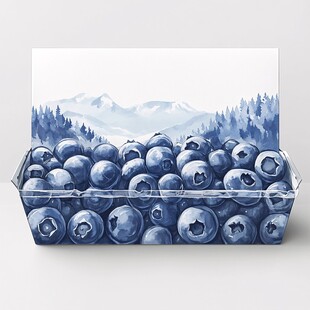 蓝莓包装插画