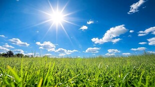 蓝天草地唯美自然