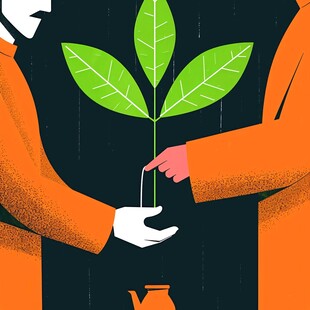 植树节种植树苗