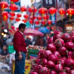 街边洋葱摊