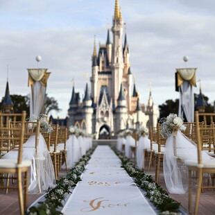 迪士尼婚礼