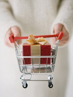 送礼购物节年货节