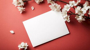 红色背景花瓣鲜花