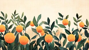 砂糖橘插画设计