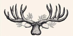 手绘鹿茸