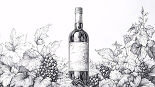 红酒包装插画