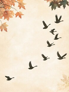 飞鸟背景图