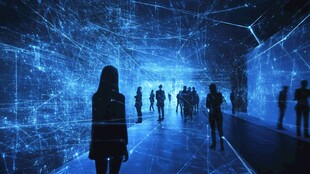 浸式体验的数据世界