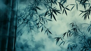 唯美竹影竹韵