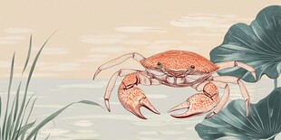河蟹插画
