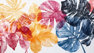 五彩树叶背景实拍