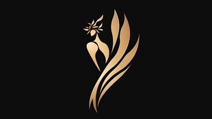 高端女性品牌标志