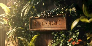 森系迎宾区设计