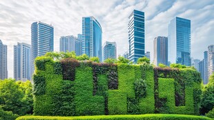 城市房地产绿化