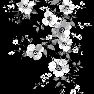 黑底花朵印花图