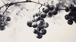 水墨葡萄