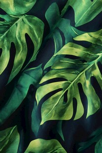 芭蕉叶面料印花色块