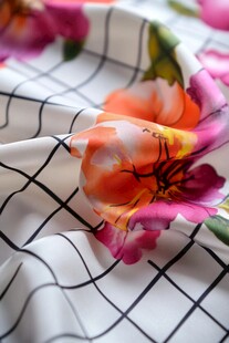 满版双色郁金香