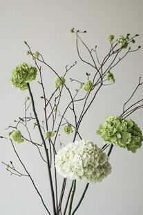 白绿色绣球花艺