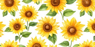 高清手绘太阳花向日葵