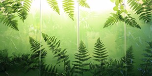 夏季橱窗展示绿色