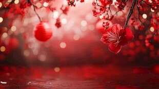 唯美梦幻梅花林