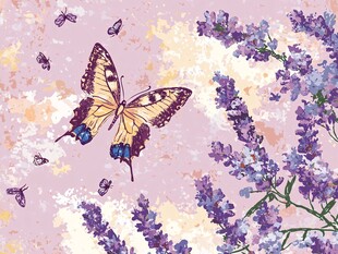 蝴蝶飞舞在熏衣草丛中