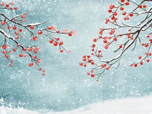 冰雪红梅插画